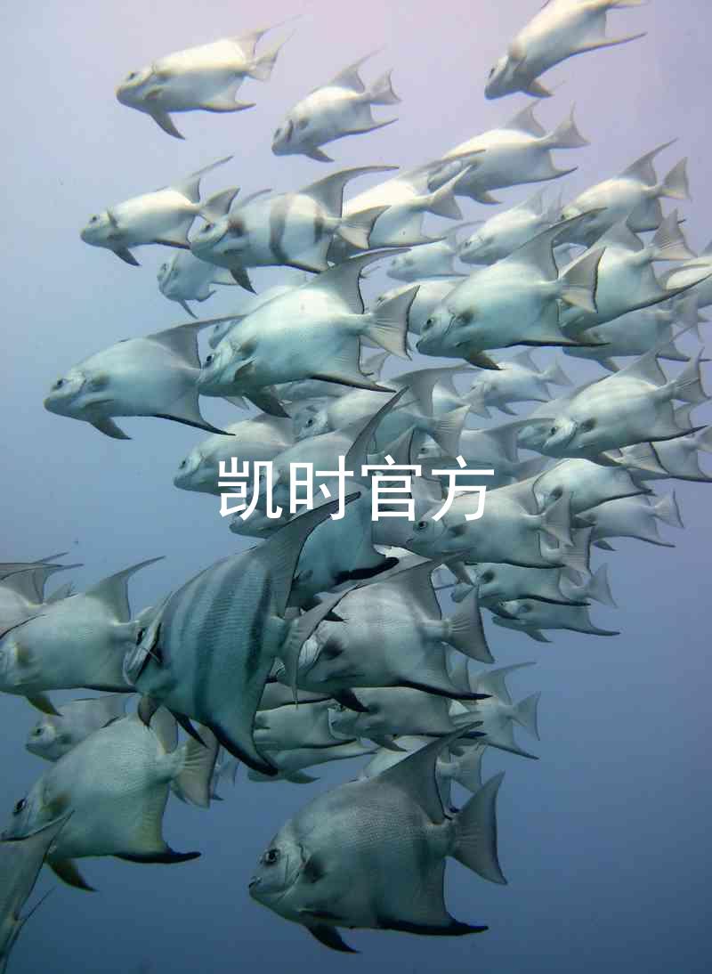 凯时官方