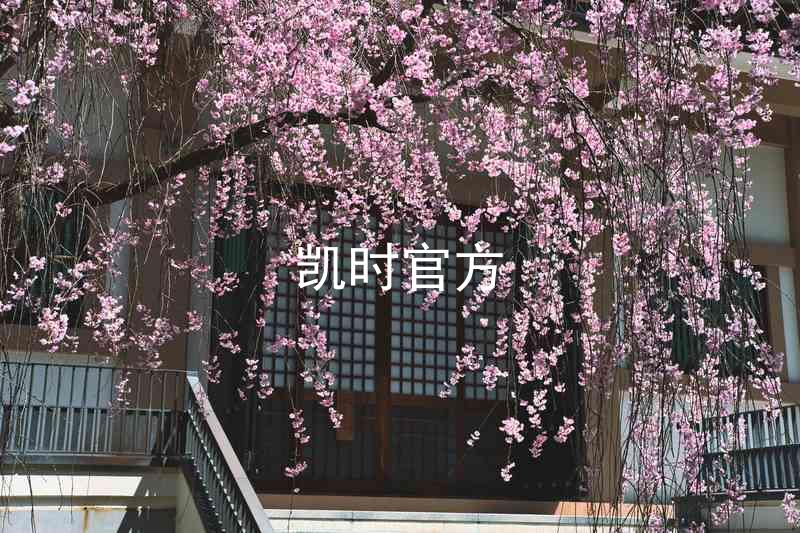 凯时官方